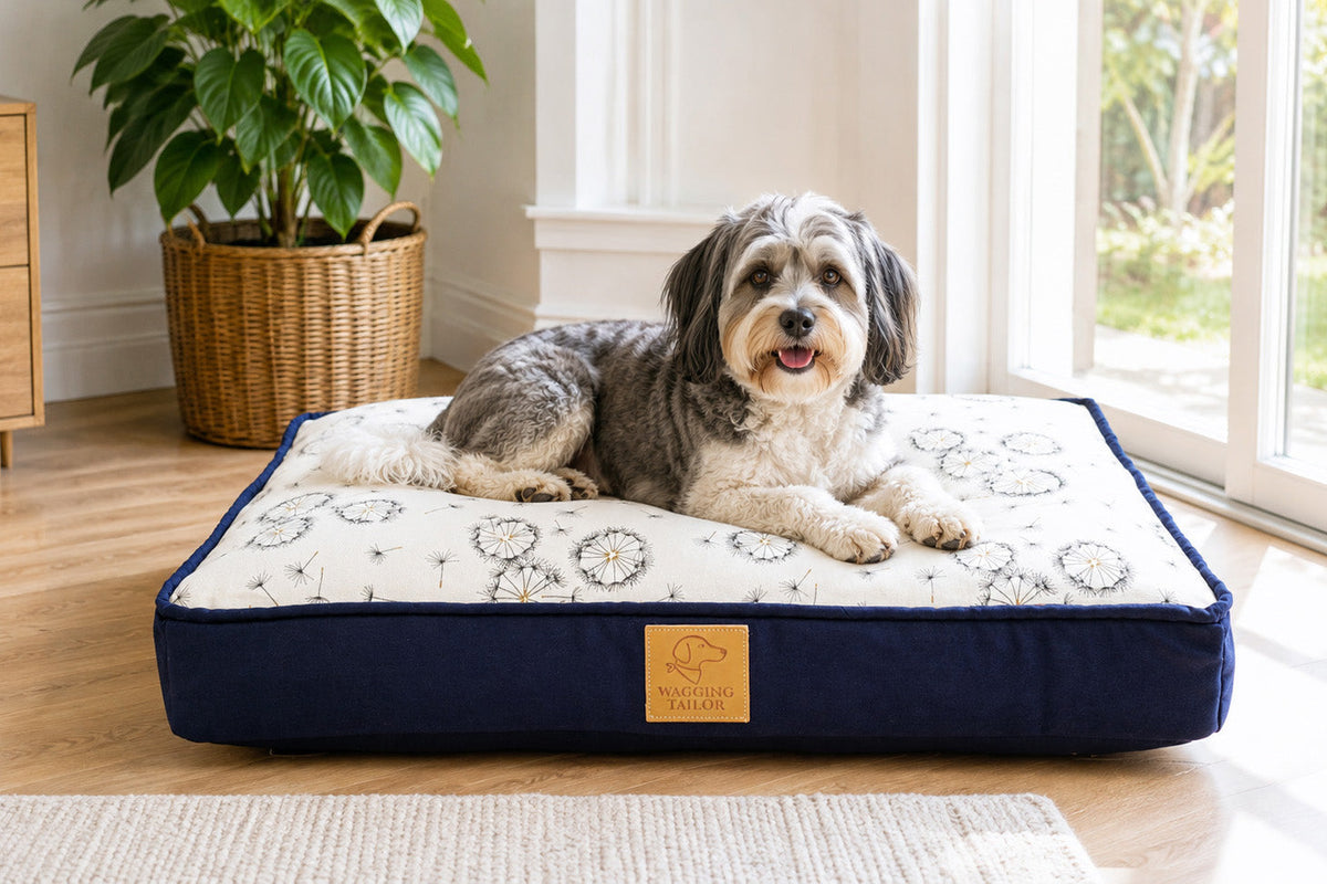 Small grey and white dog resting on a rectangular dog bed with a patterned cover in a bright living room.