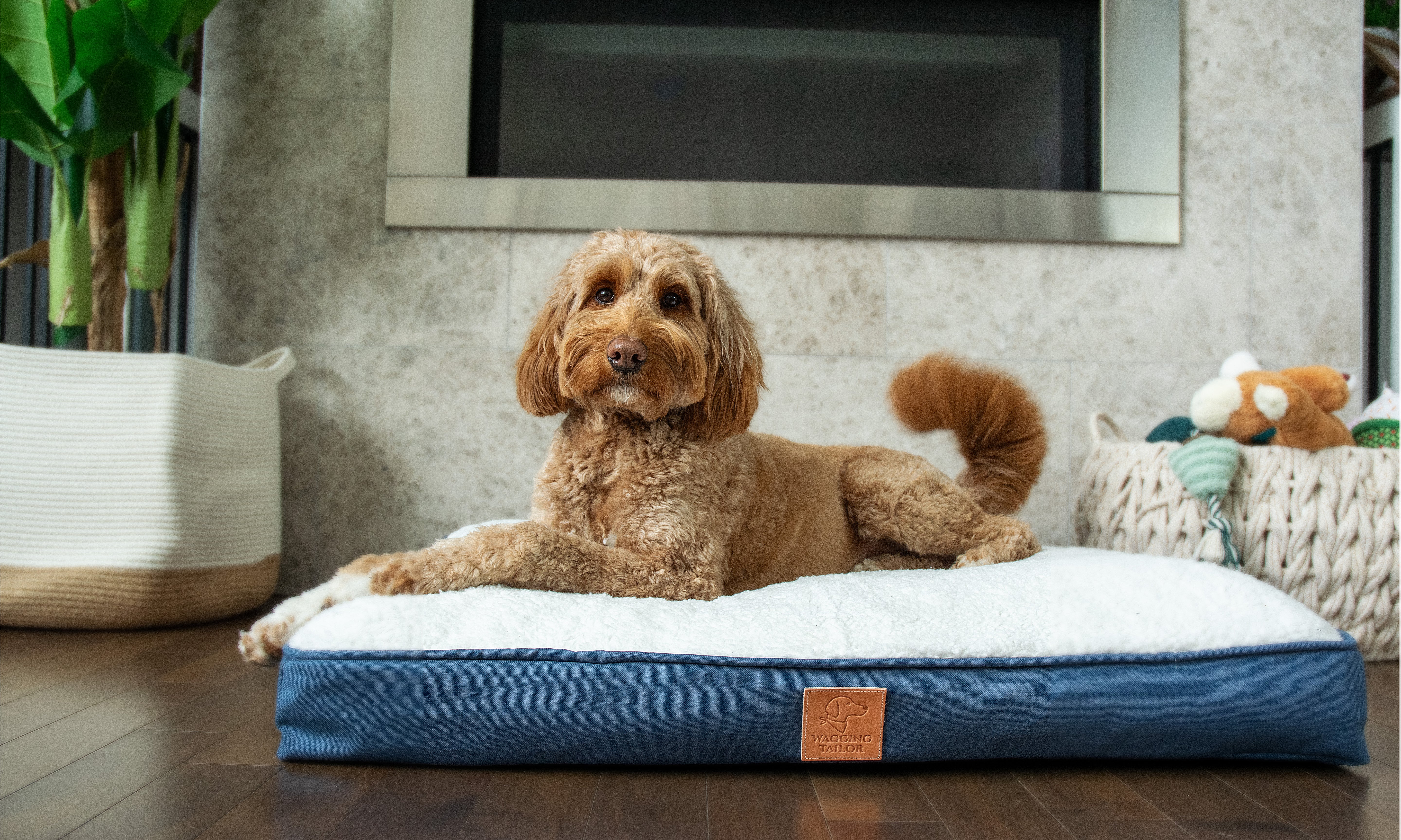 Cotton Cloud <br> (Outer Cover Only)