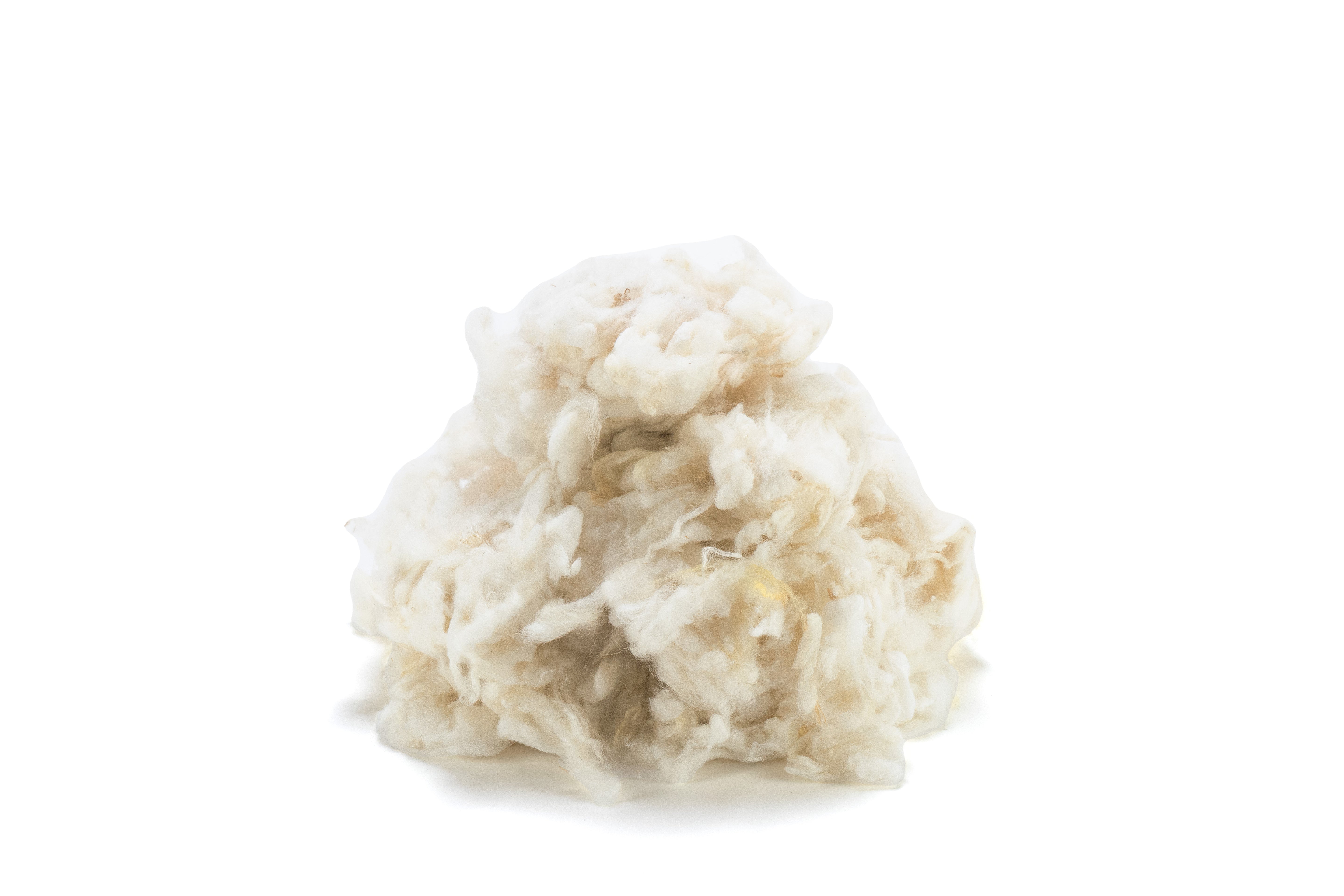 Wool Top Up Pack (1lb)